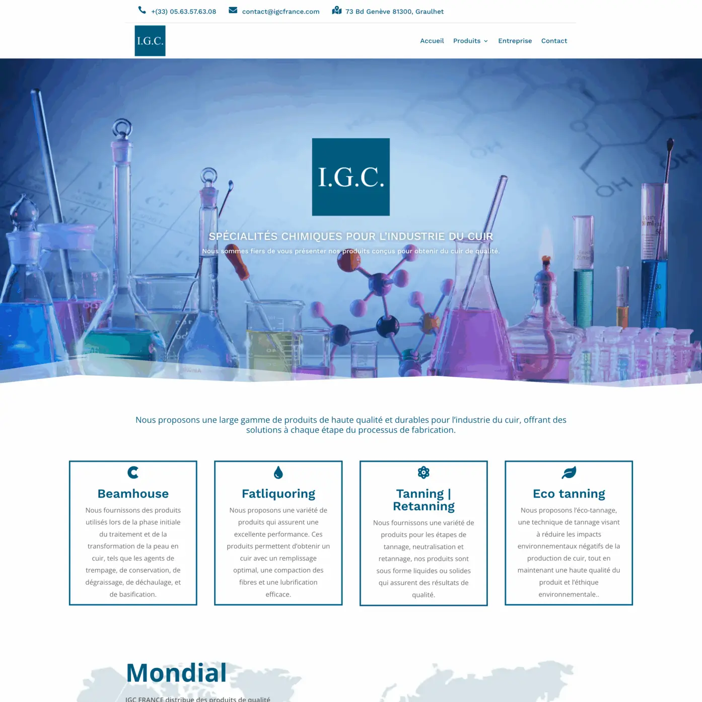 Site Web igcfrance.com Site Web igcfrance.com